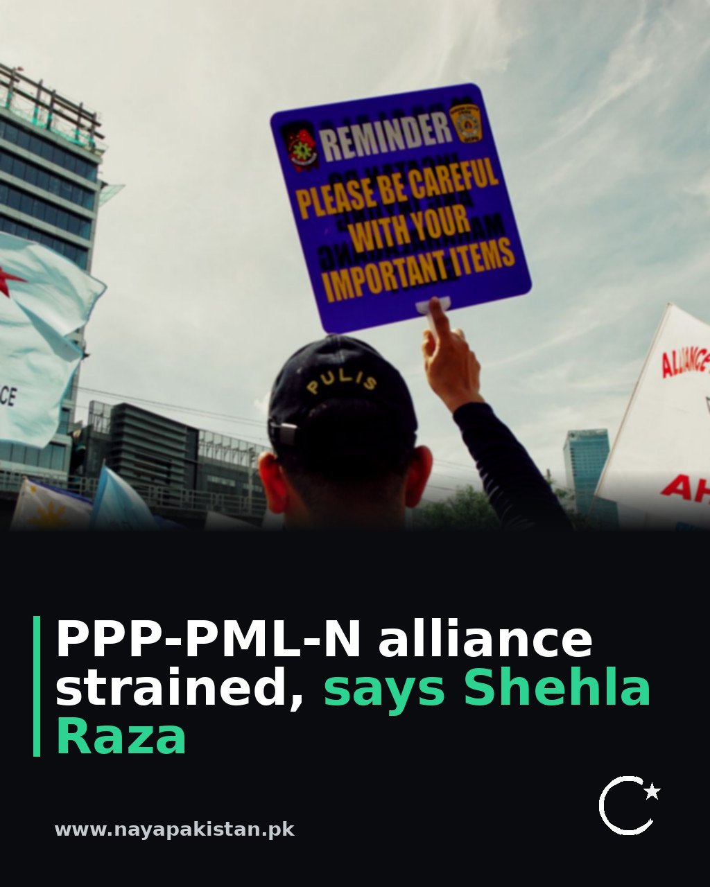 PPP-PML-N alliance strained, says Shehla Raza