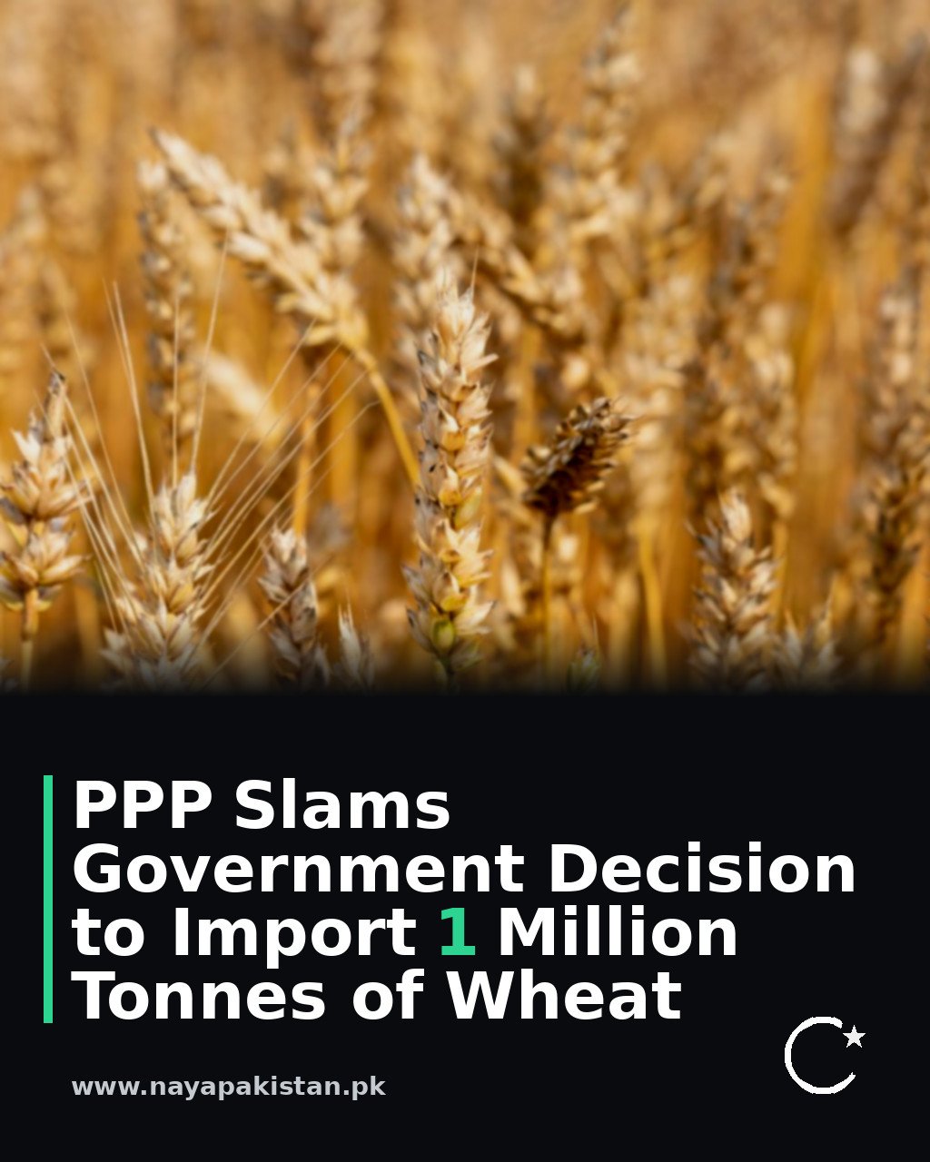 PPP Slams Government Decision to Import 1 Million Tonnes of Wheat