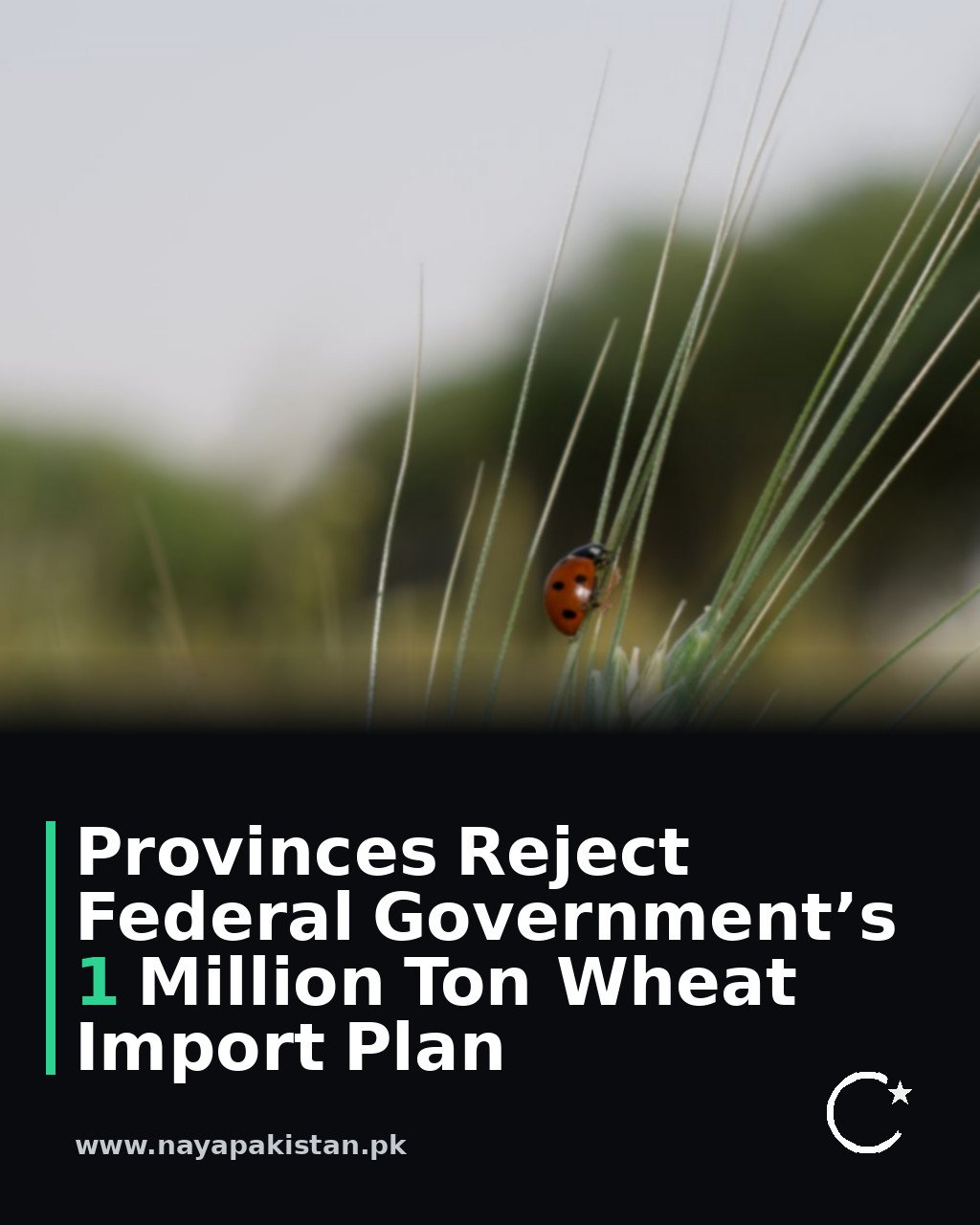 Provinces Reject Federal Government’s 1 Million Ton Wheat Import Plan