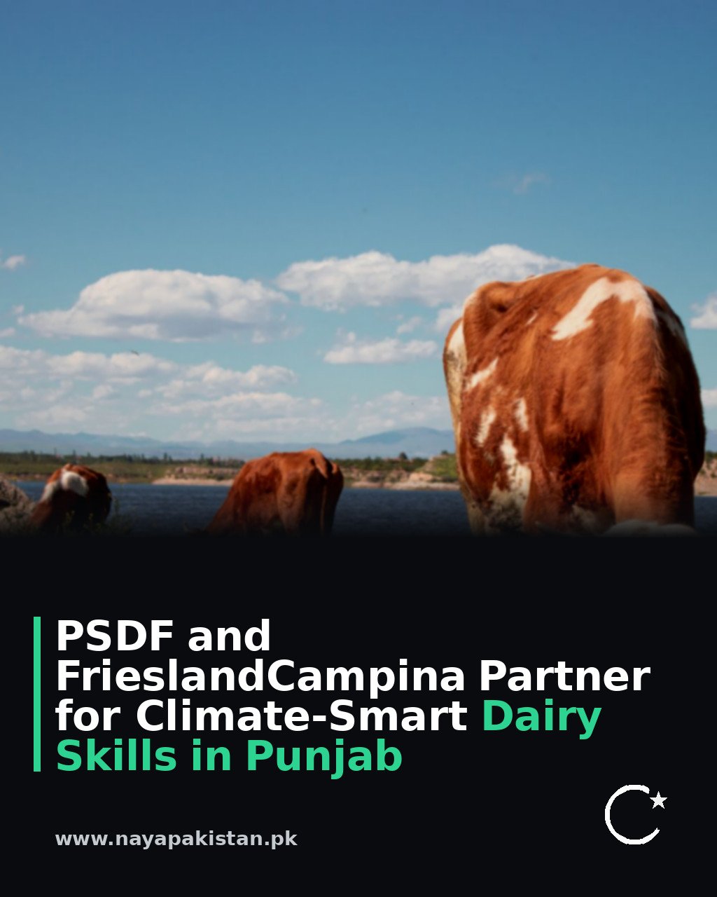 PSDF and FrieslandCampina Partner for Climate-Smart Dairy Skills in Punjab