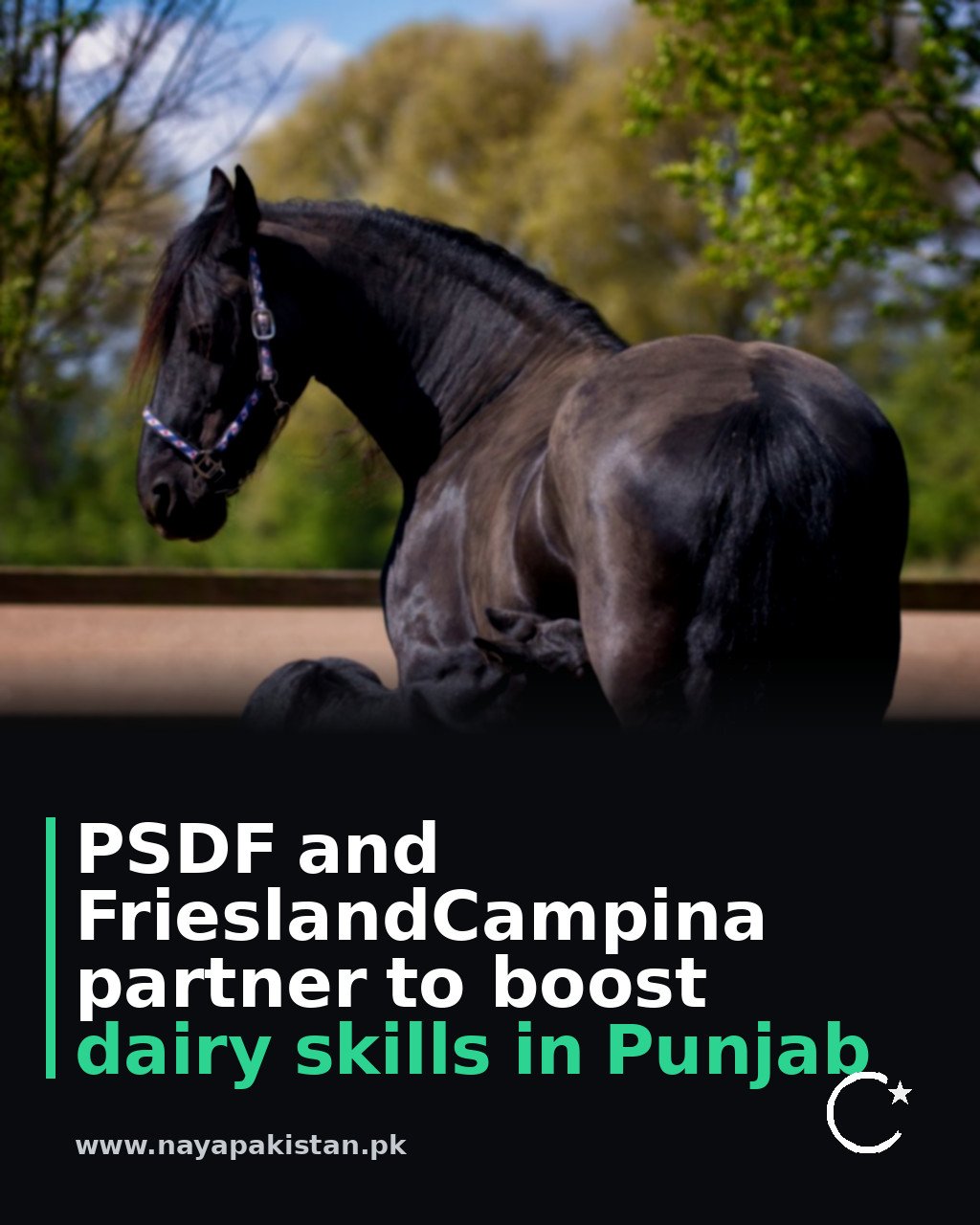 PSDF and FrieslandCampina partner to boost dairy skills in Punjab