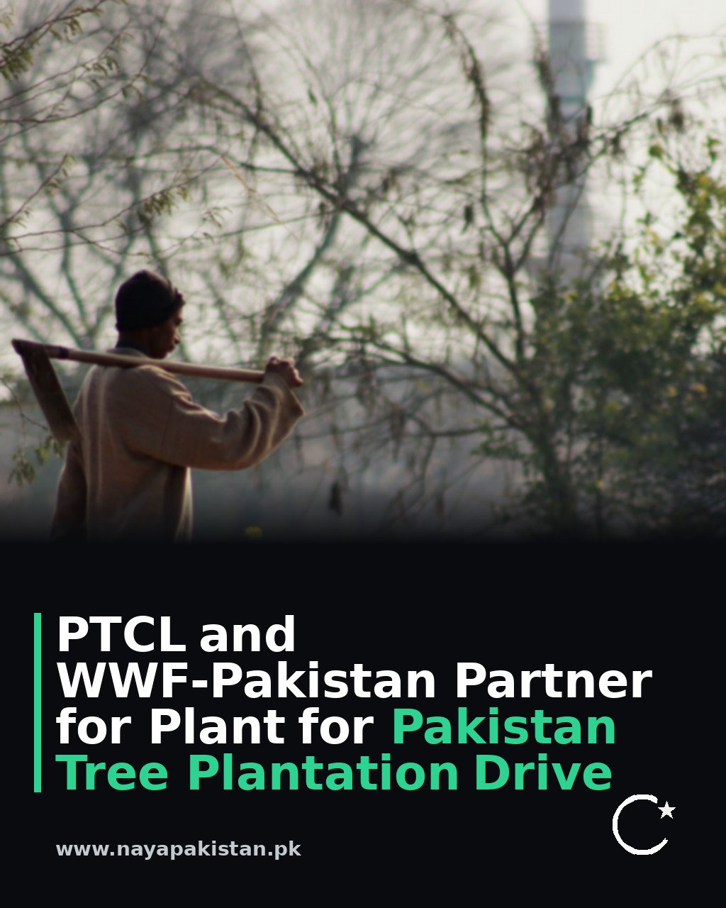 PTCL and WWF-Pakistan Partner for Plant for Pakistan Tree Plantation Drive
