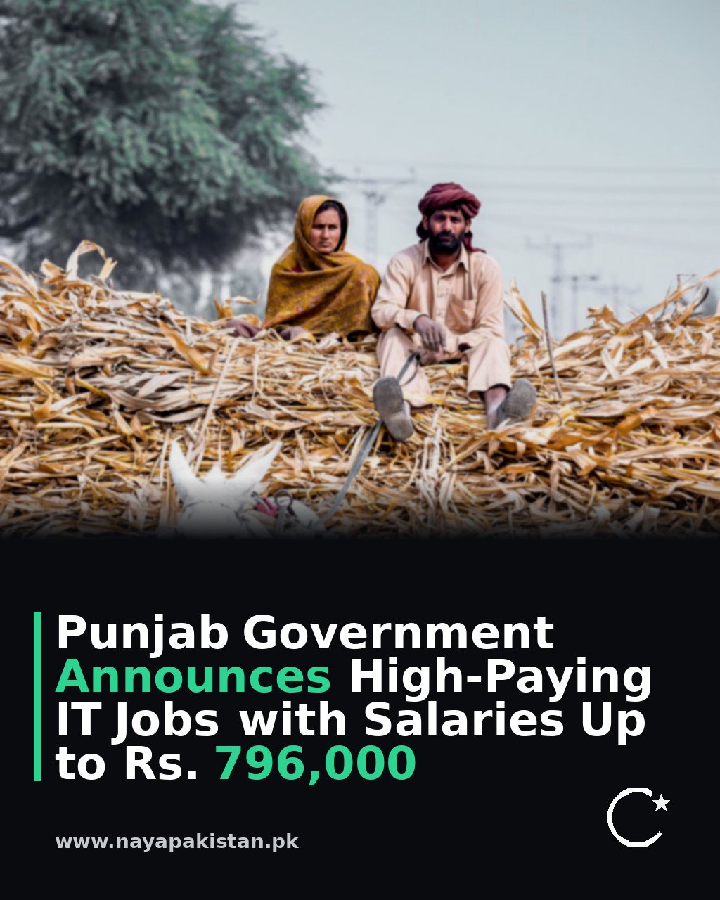 Punjab Government Announces High-Paying IT Jobs with Salaries Up to Rs. 796,000