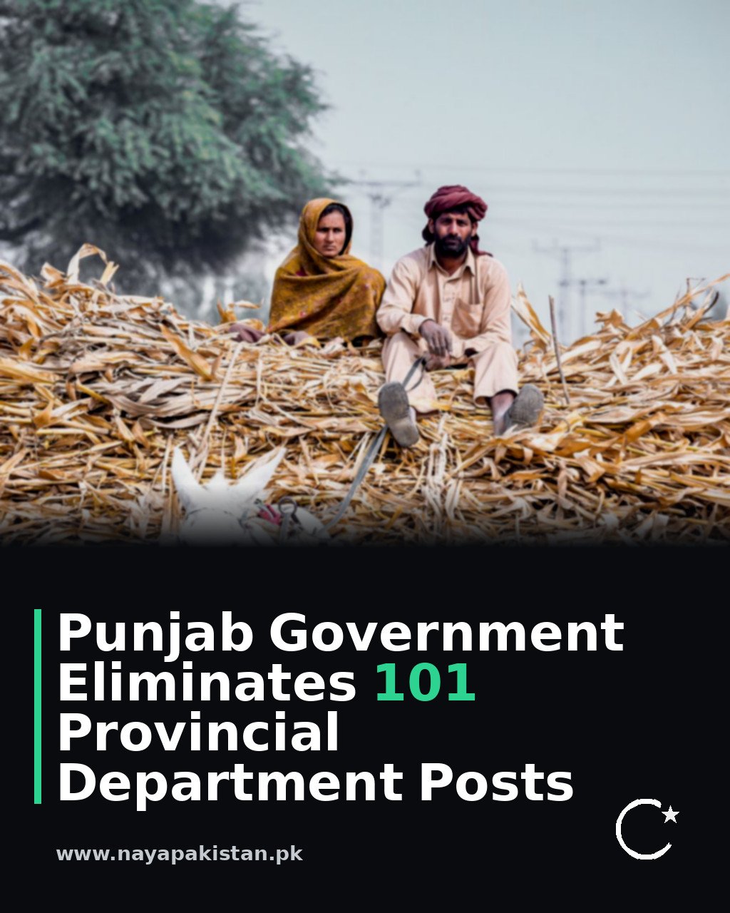 Punjab Government Eliminates 101 Provincial Department Posts
