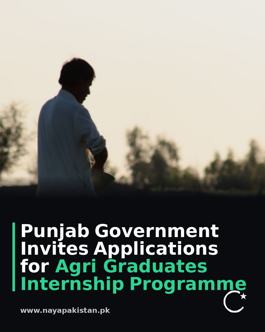 Punjab Government Invites Applications for Agri Graduates Internship Programme