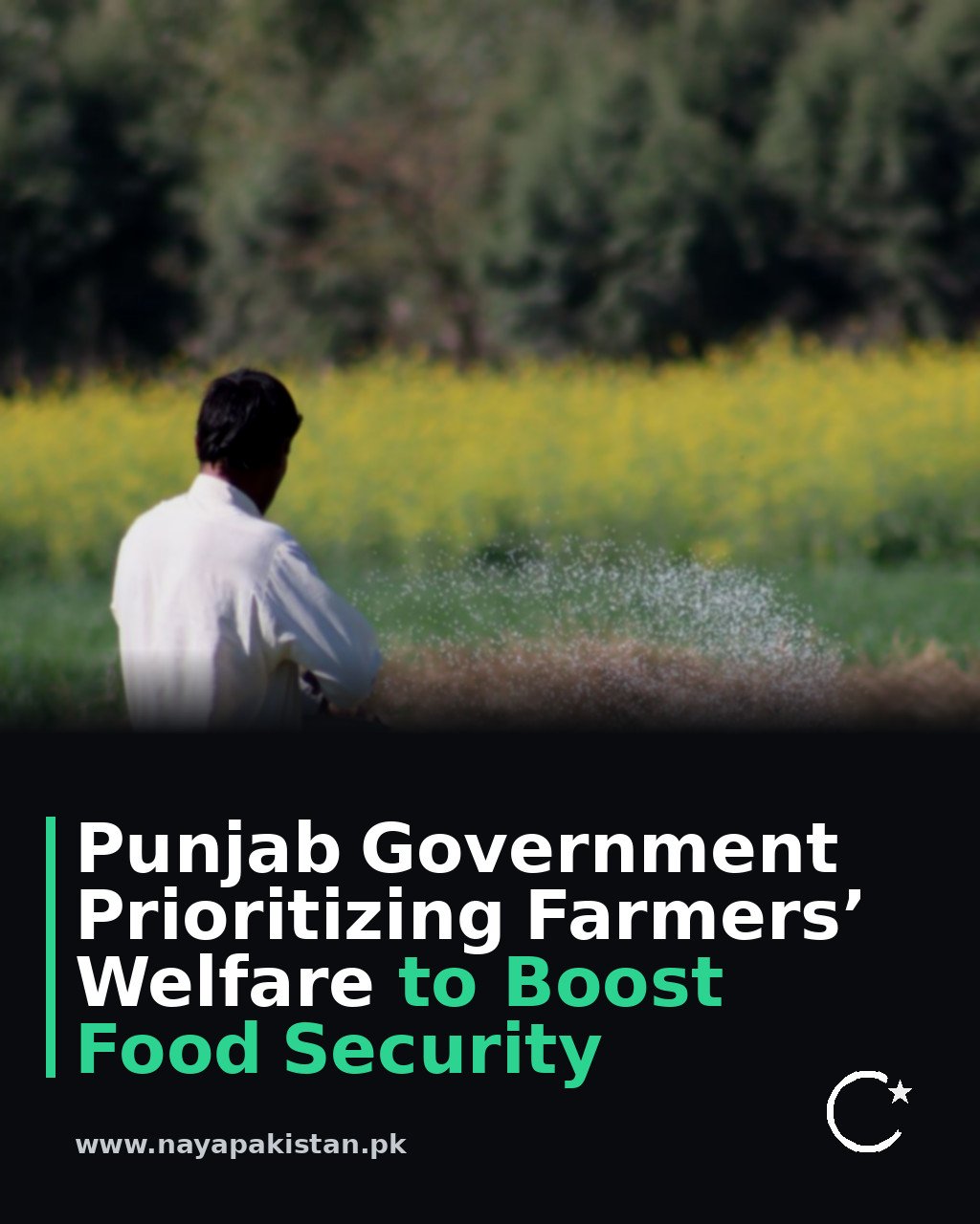Punjab Government Prioritizing Farmers’ Welfare to Boost Food Security