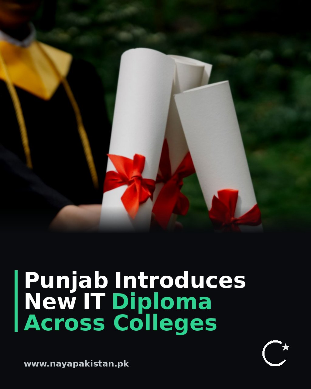 Punjab Introduces New IT Diploma Across Colleges