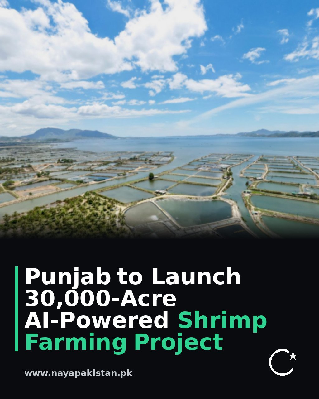 Punjab to Launch 30,000-Acre AI-Powered Shrimp Farming Project