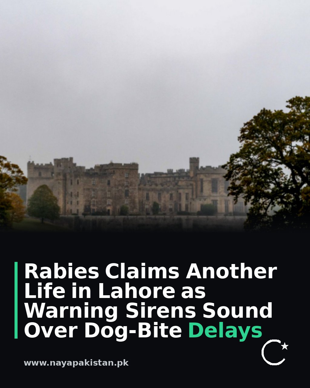 Rabies Claims Another Life in Lahore as Warning Sirens Sound Over Dog-Bite Delays