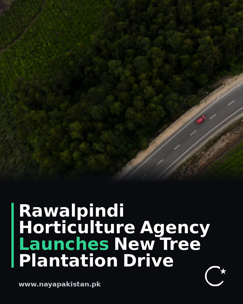 Rawalpindi Horticulture Agency Launches New Tree Plantation Drive