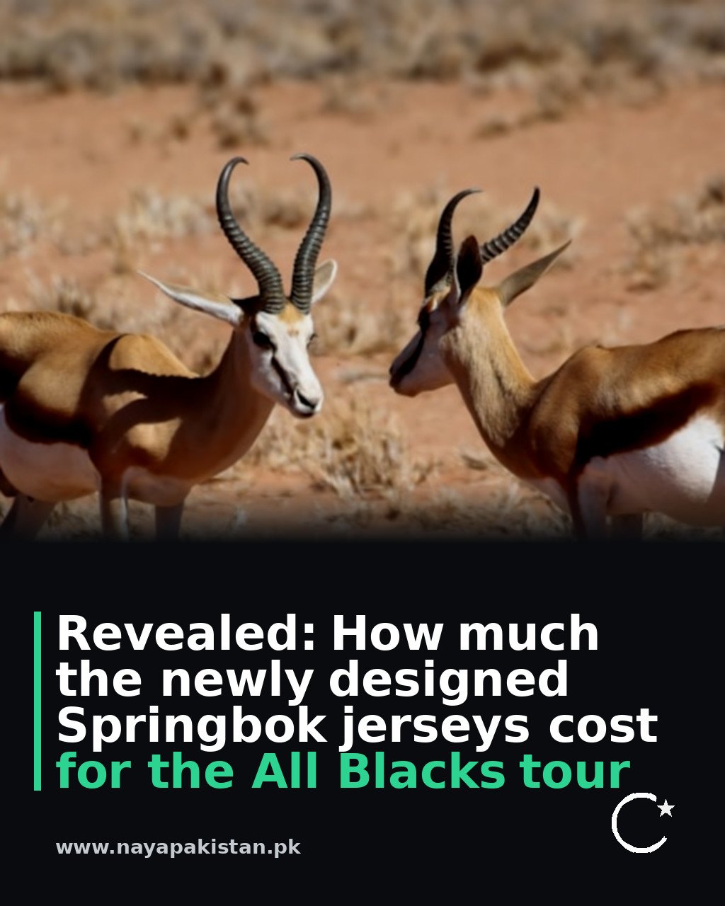 Revealed: How much the newly designed Springbok jerseys cost for the All Blacks tour