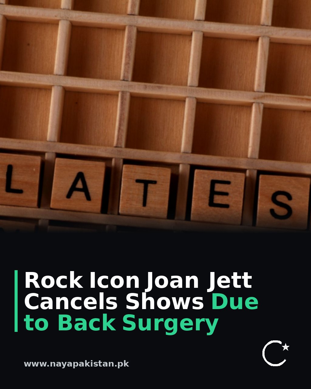 Rock Icon Joan Jett Cancels Shows Due to Back Surgery