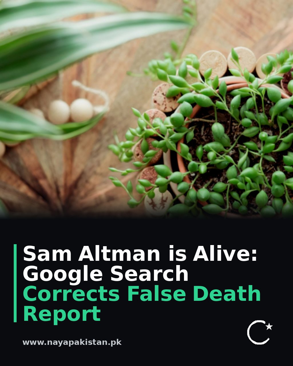 Sam Altman is Alive: Google Search Corrects False Death Report