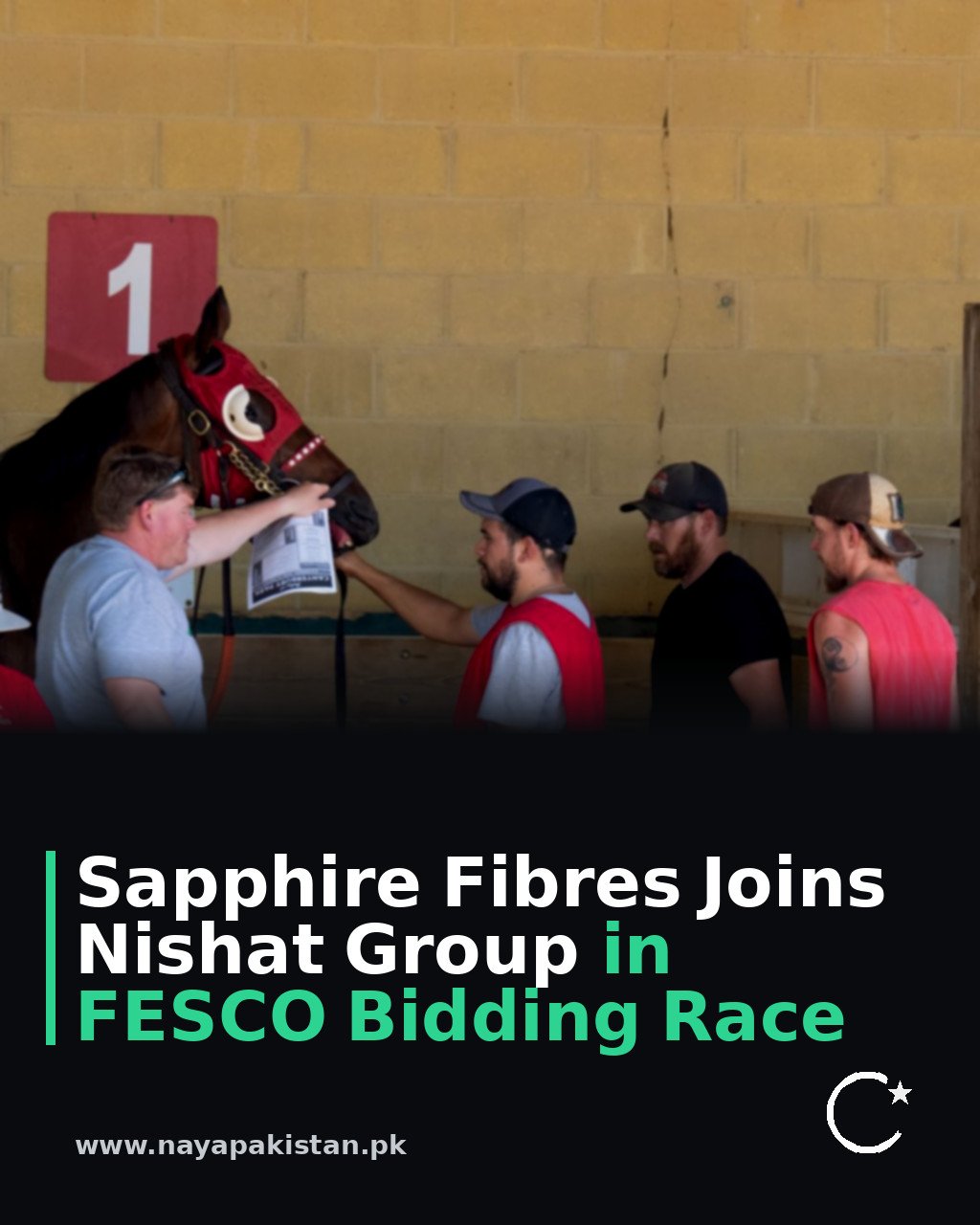 Sapphire Fibres Joins Nishat Group in FESCO Bidding Race
