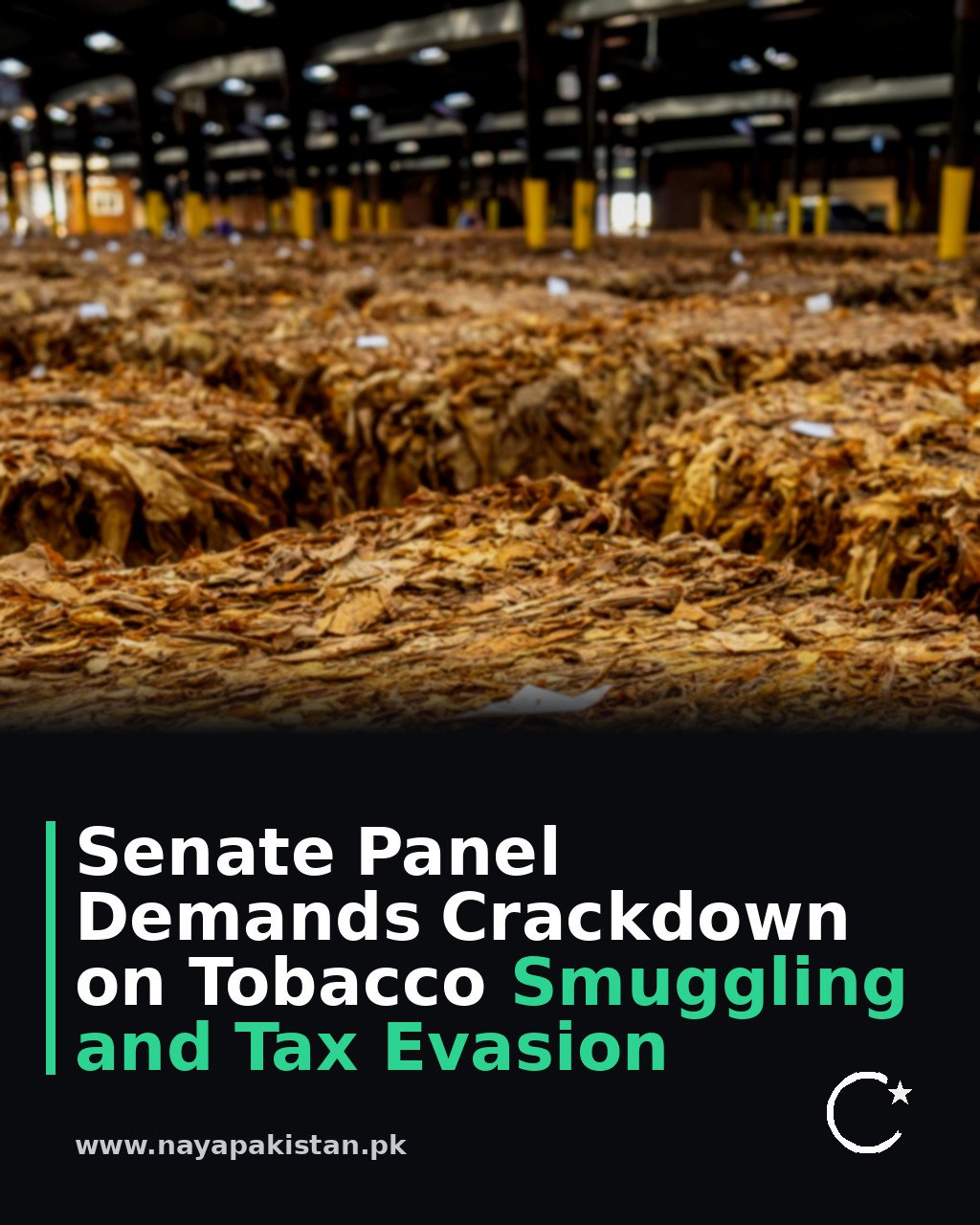 Senate Panel Demands Crackdown on Tobacco Smuggling and Tax Evasion