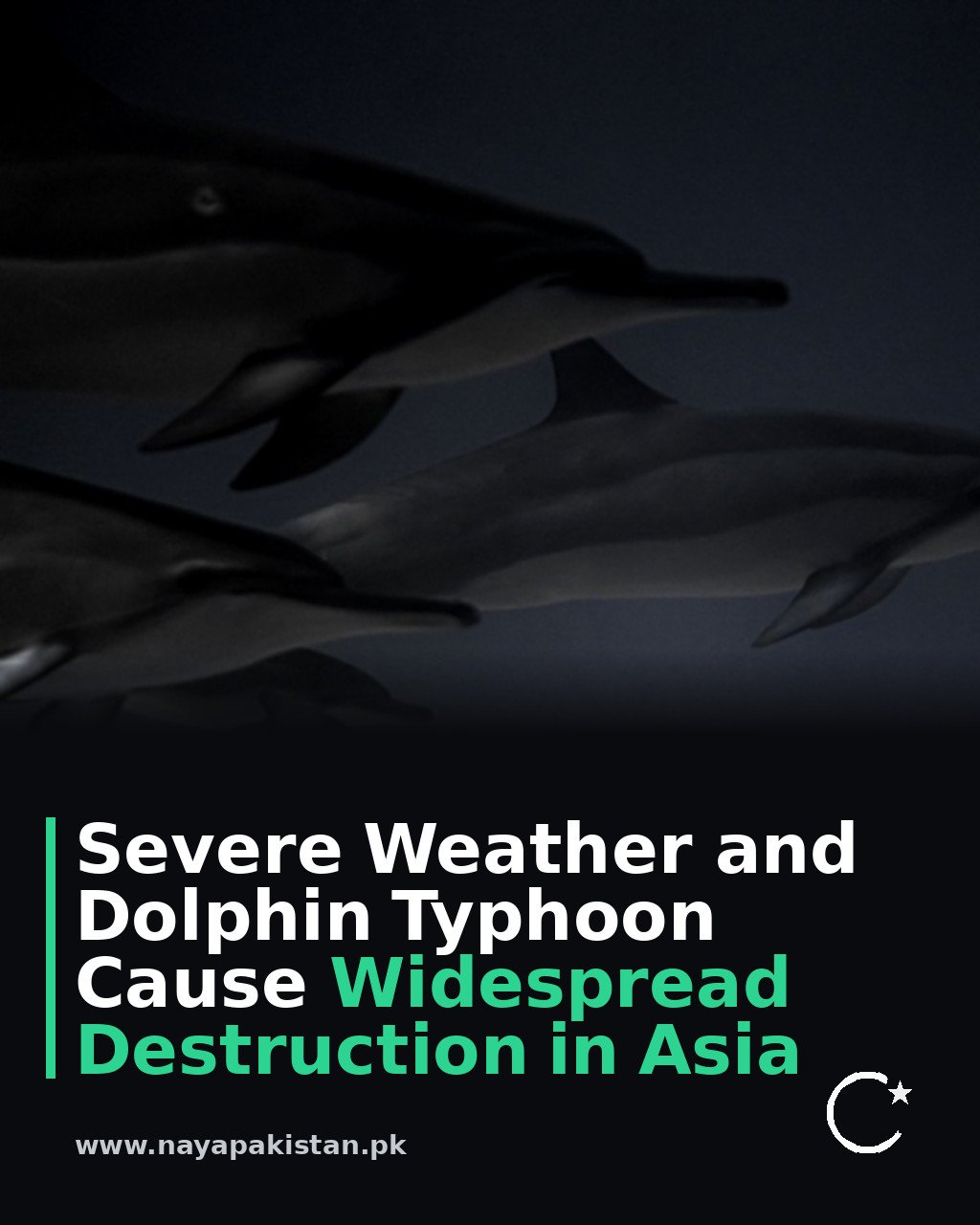 Severe Weather and Dolphin Typhoon Cause Widespread Destruction in Asia