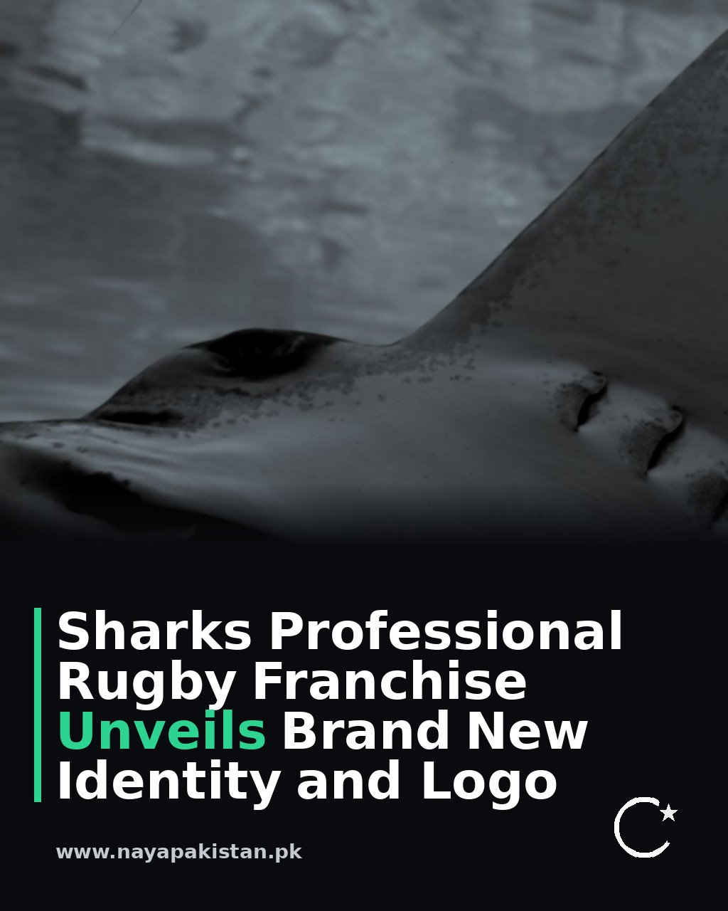 Sharks Professional Rugby Franchise Unveils Brand New Identity and Logo