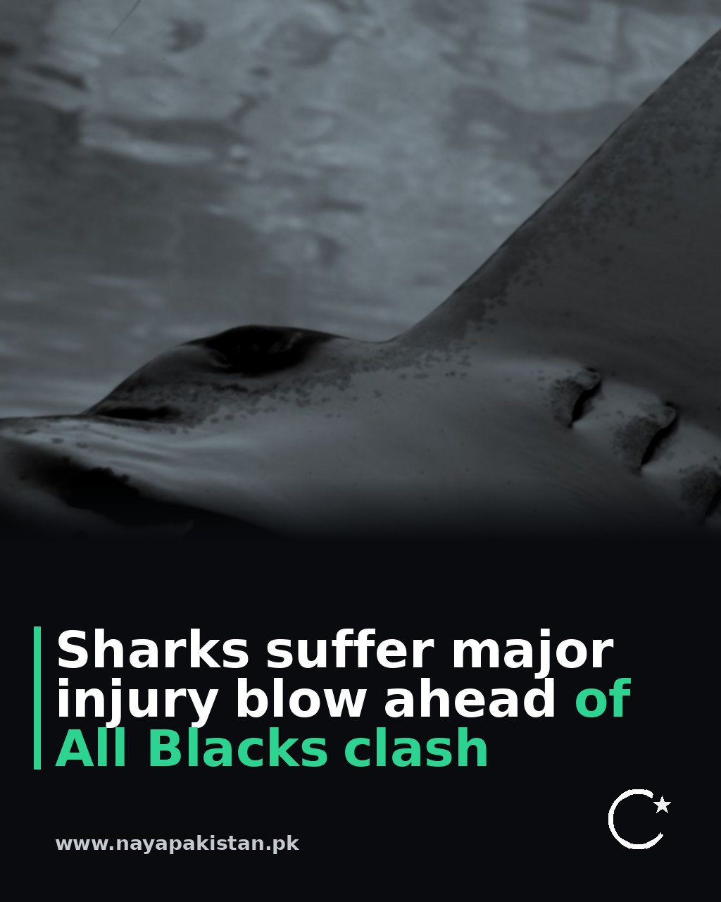 Sharks suffer major injury blow ahead of All Blacks clash