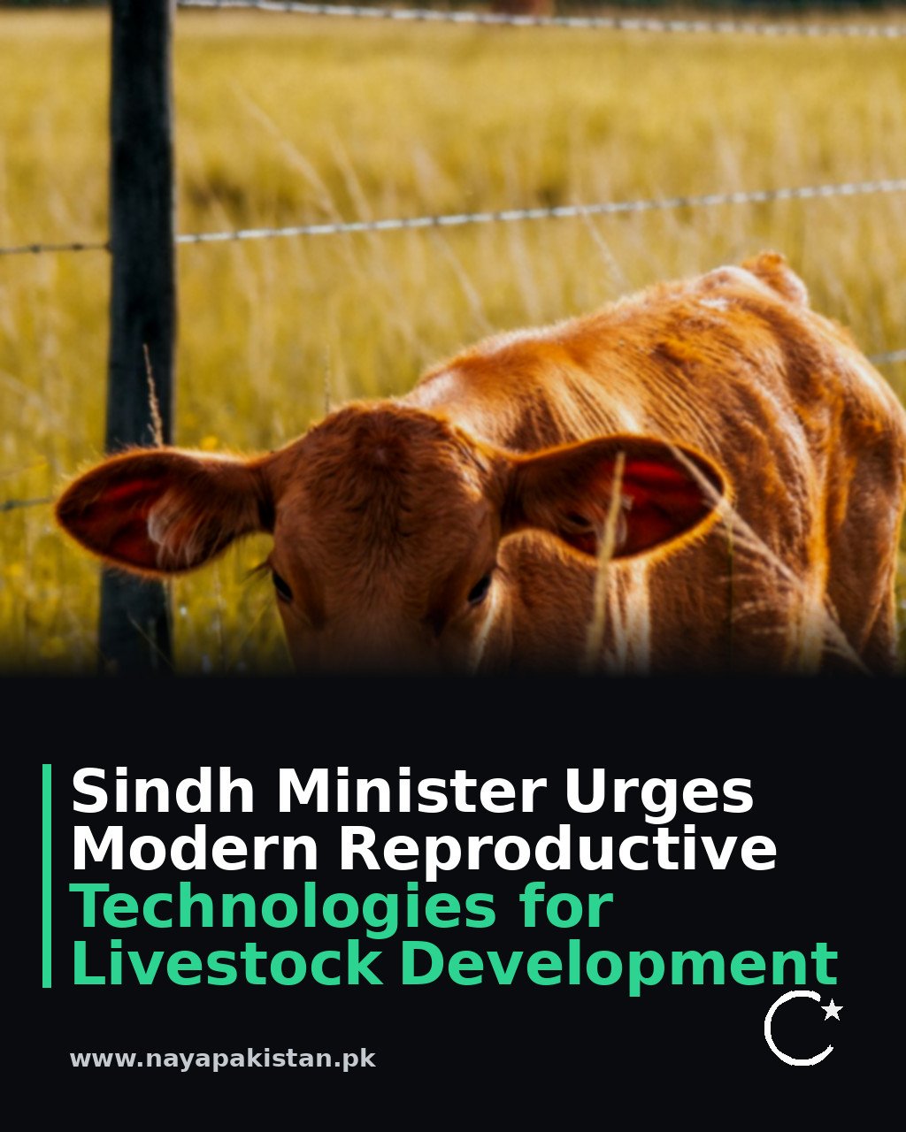 Sindh Minister Urges Modern Reproductive Technologies for Livestock Development