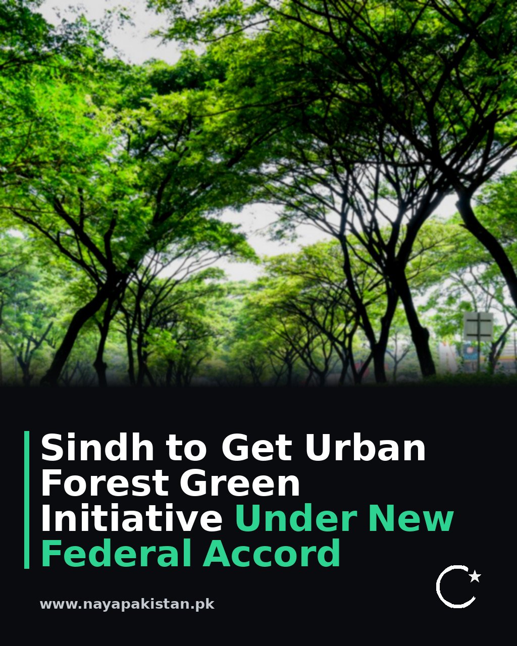 Sindh to Get Urban Forest Green Initiative Under New Federal Accord