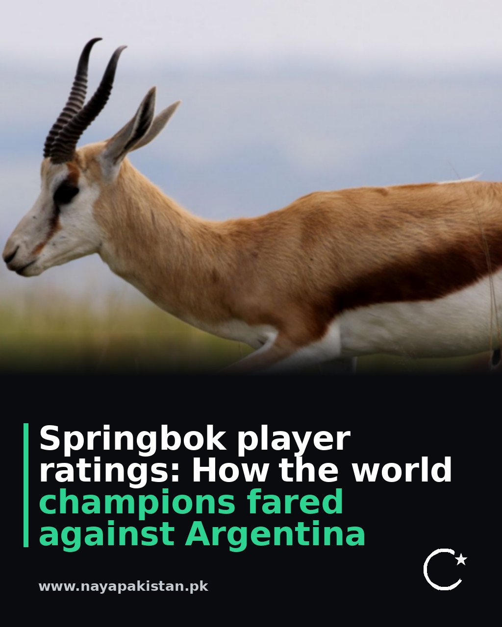 Springbok player ratings: How the world champions fared against Argentina