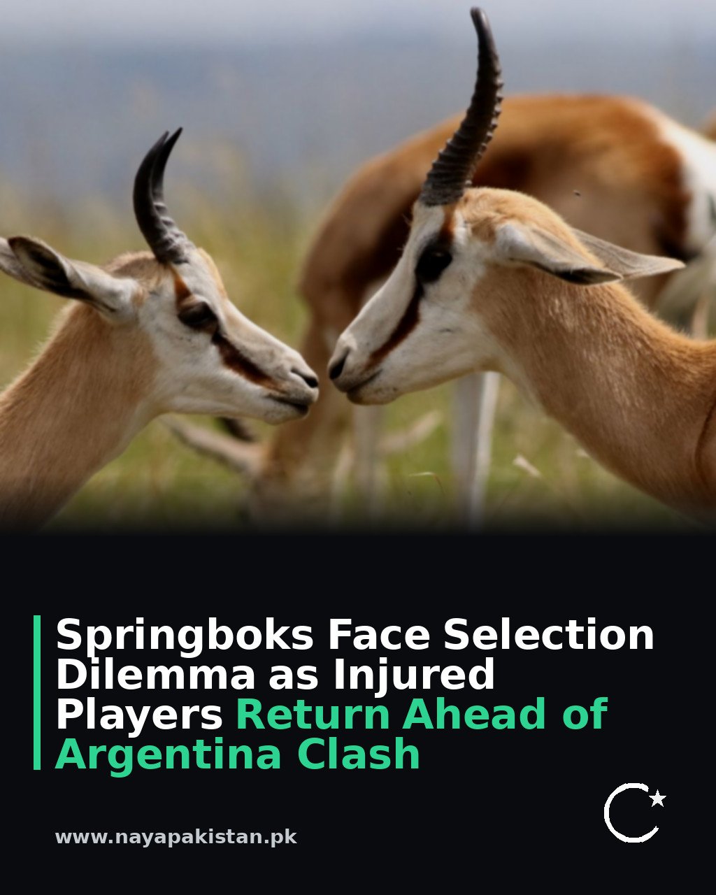 Springboks Face Selection Dilemma as Injured Players Return Ahead of Argentina Clash
