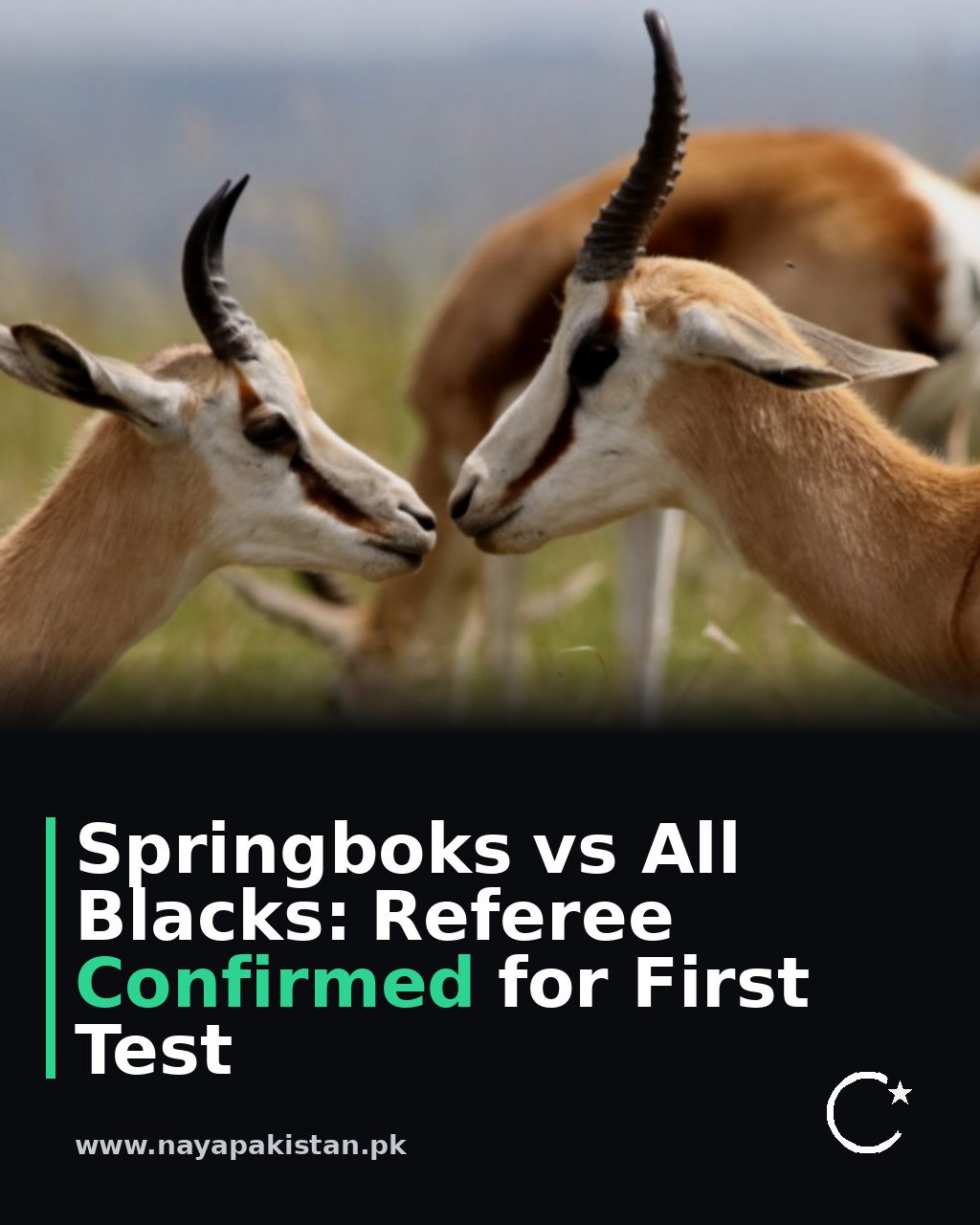 Springboks vs All Blacks: Referee Confirmed for First Test