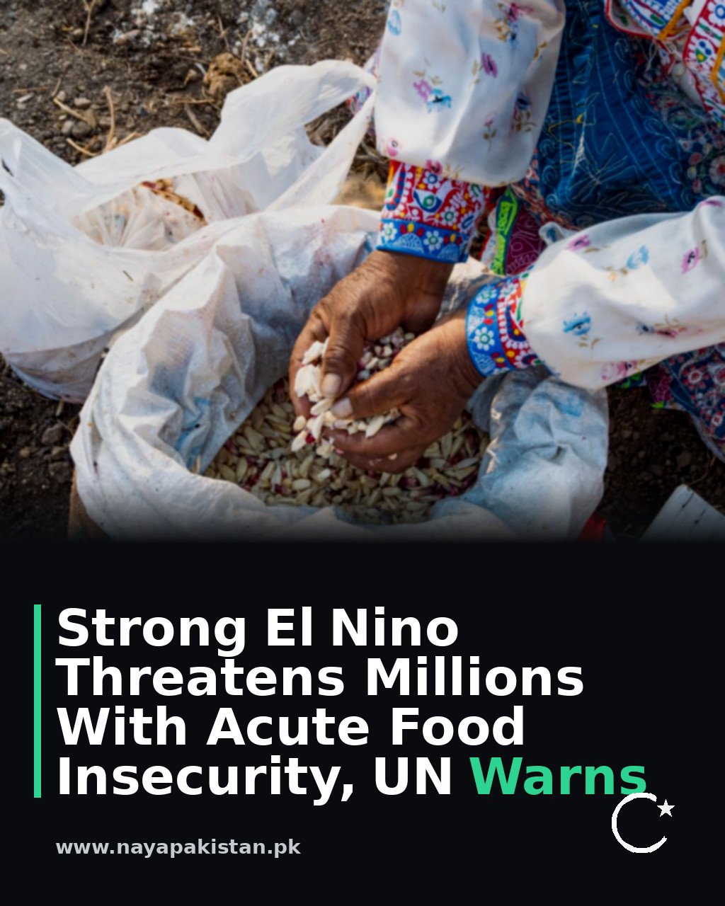 Strong El Nino Threatens Millions With Acute Food Insecurity, UN Warns
