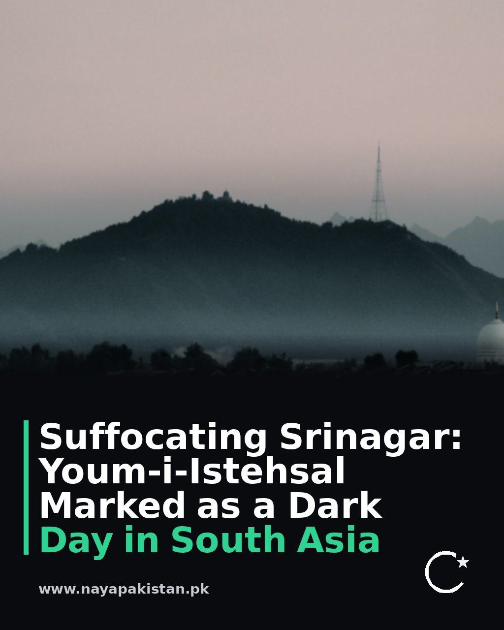 Suffocating Srinagar: Youm-i-Istehsal Marked as a Dark Day in South Asia
