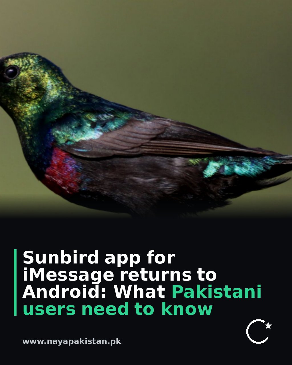 Sunbird app for iMessage returns to Android: What Pakistani users need to know