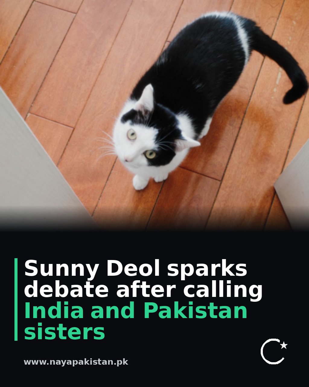 Sunny Deol sparks debate after calling India and Pakistan sisters