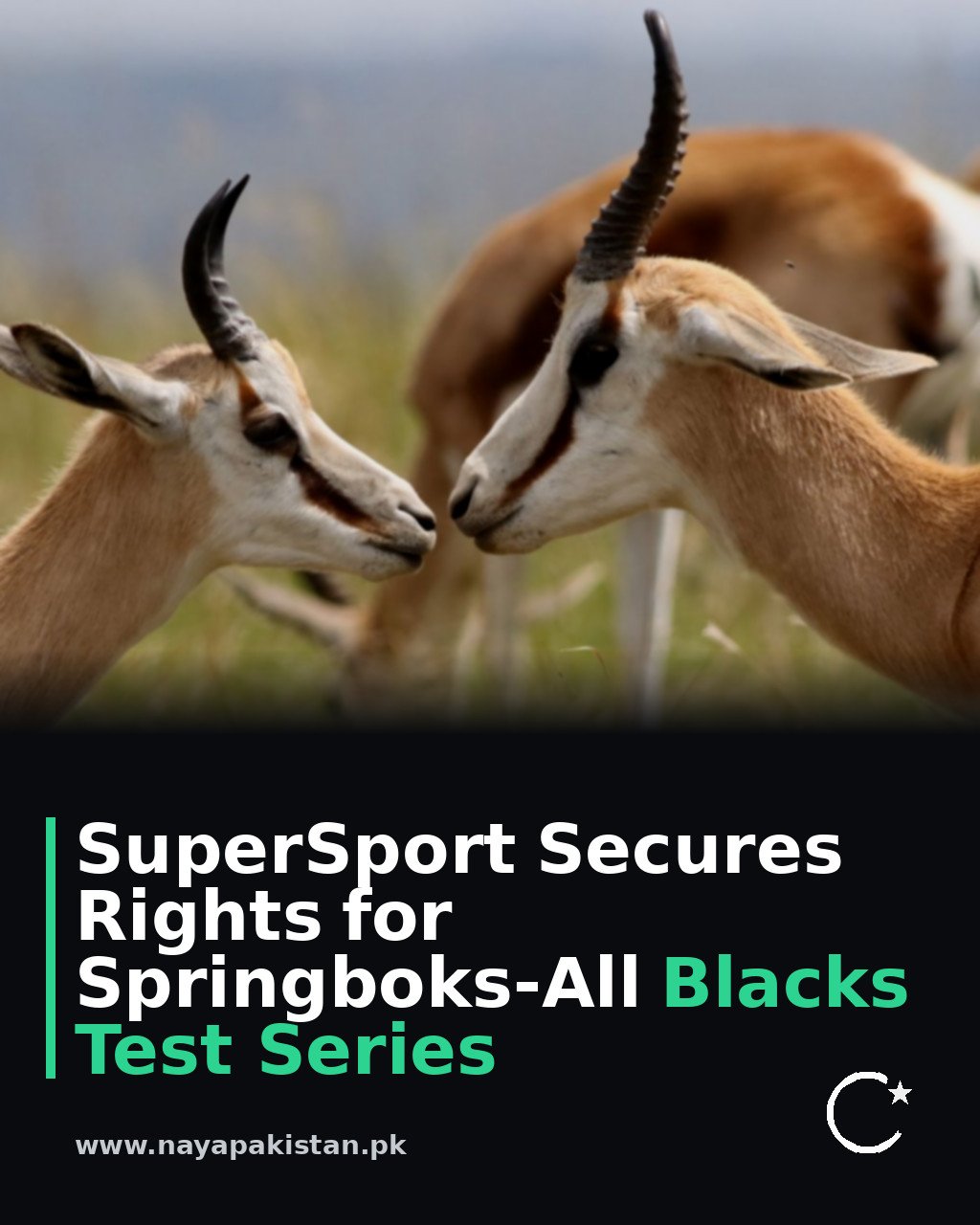 SuperSport Secures Rights for Springboks-All Blacks Test Series