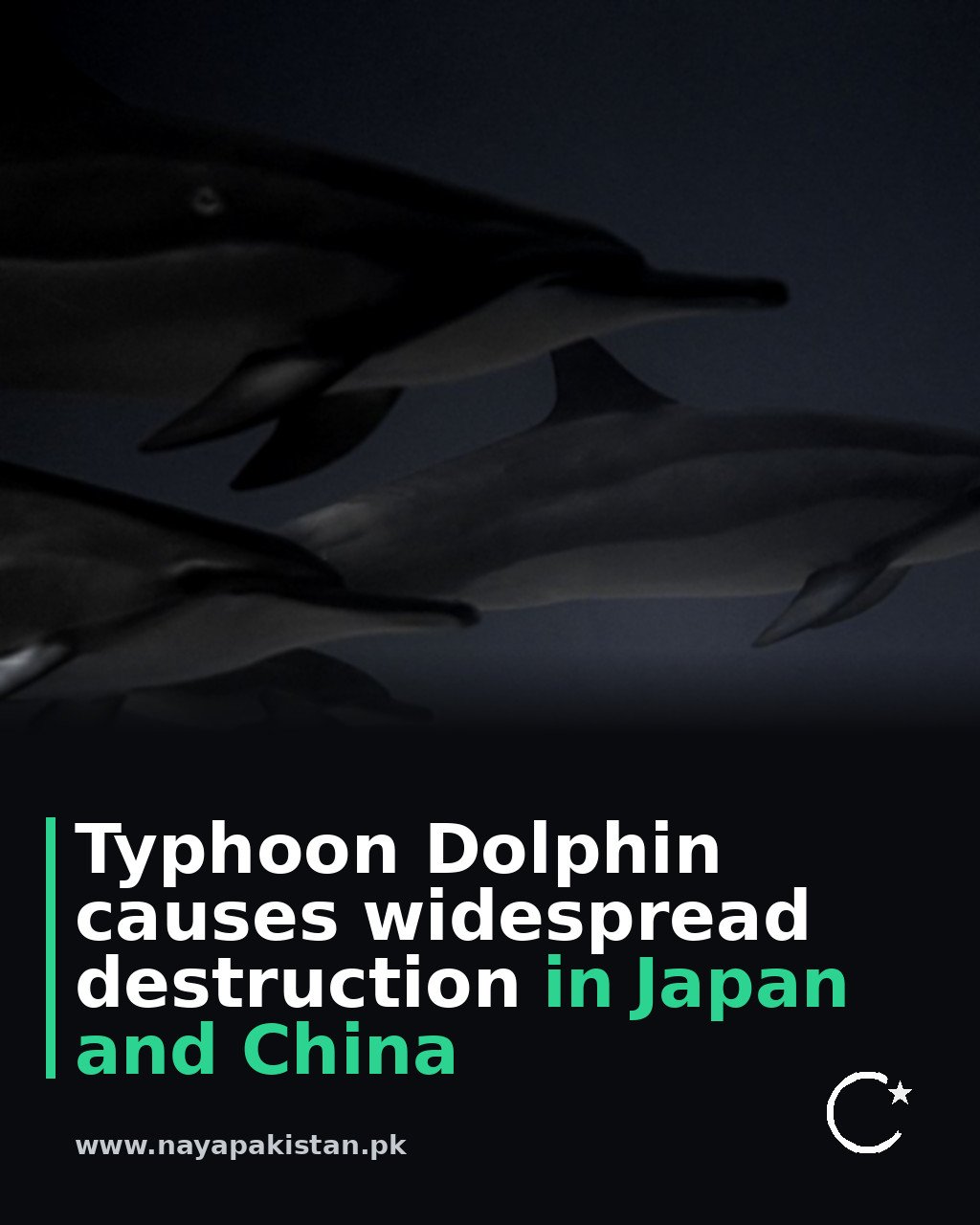 Typhoon Dolphin causes widespread destruction in Japan and China