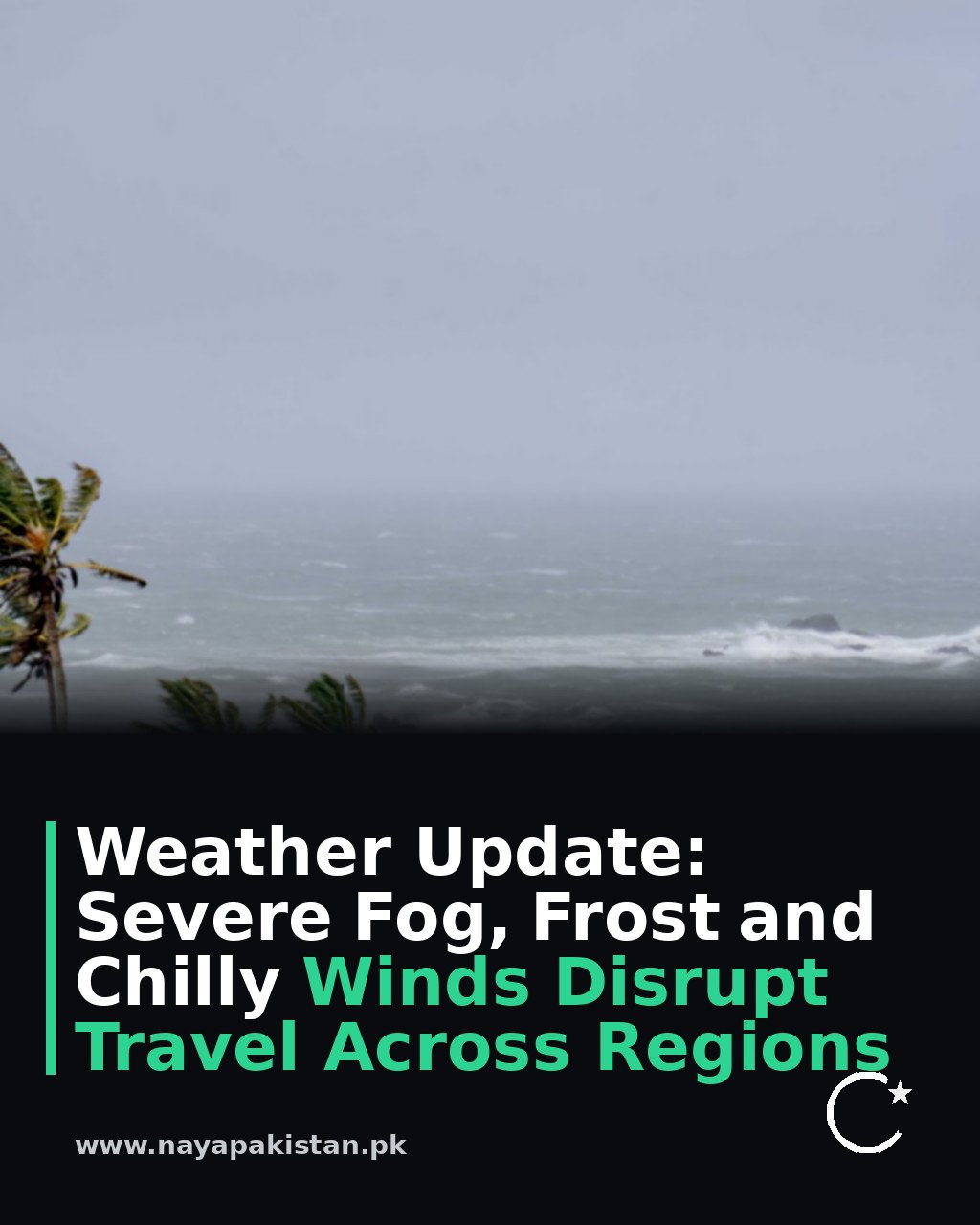 Weather Update: Severe Fog, Frost and Chilly Winds Disrupt Travel Across Regions