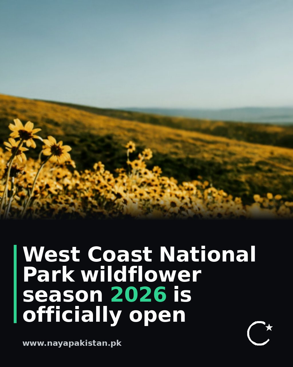 West Coast National Park wildflower season 2026 is officially open