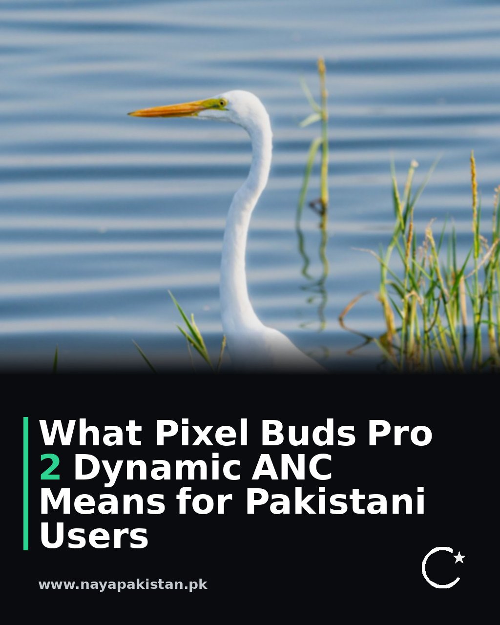 What Pixel Buds Pro 2 Dynamic ANC Means for Pakistani Users