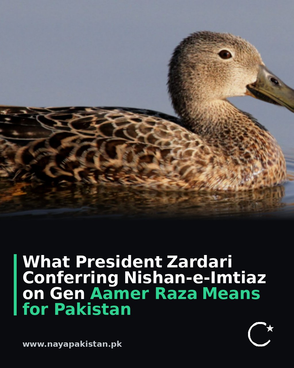 What President Zardari Conferring Nishan-e-Imtiaz on Gen Aamer Raza Means for Pakistan