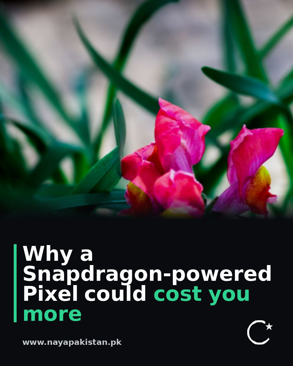 Why a Snapdragon-powered Pixel could cost you more