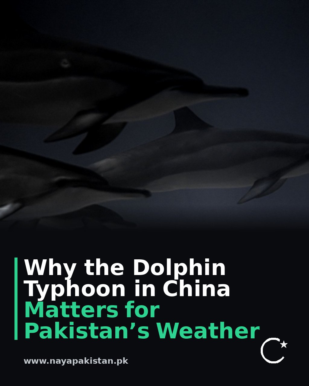 Why the Dolphin Typhoon in China Matters for Pakistan’s Weather