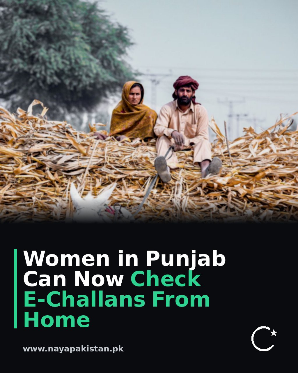 Women in Punjab Can Now Check E-Challans From Home