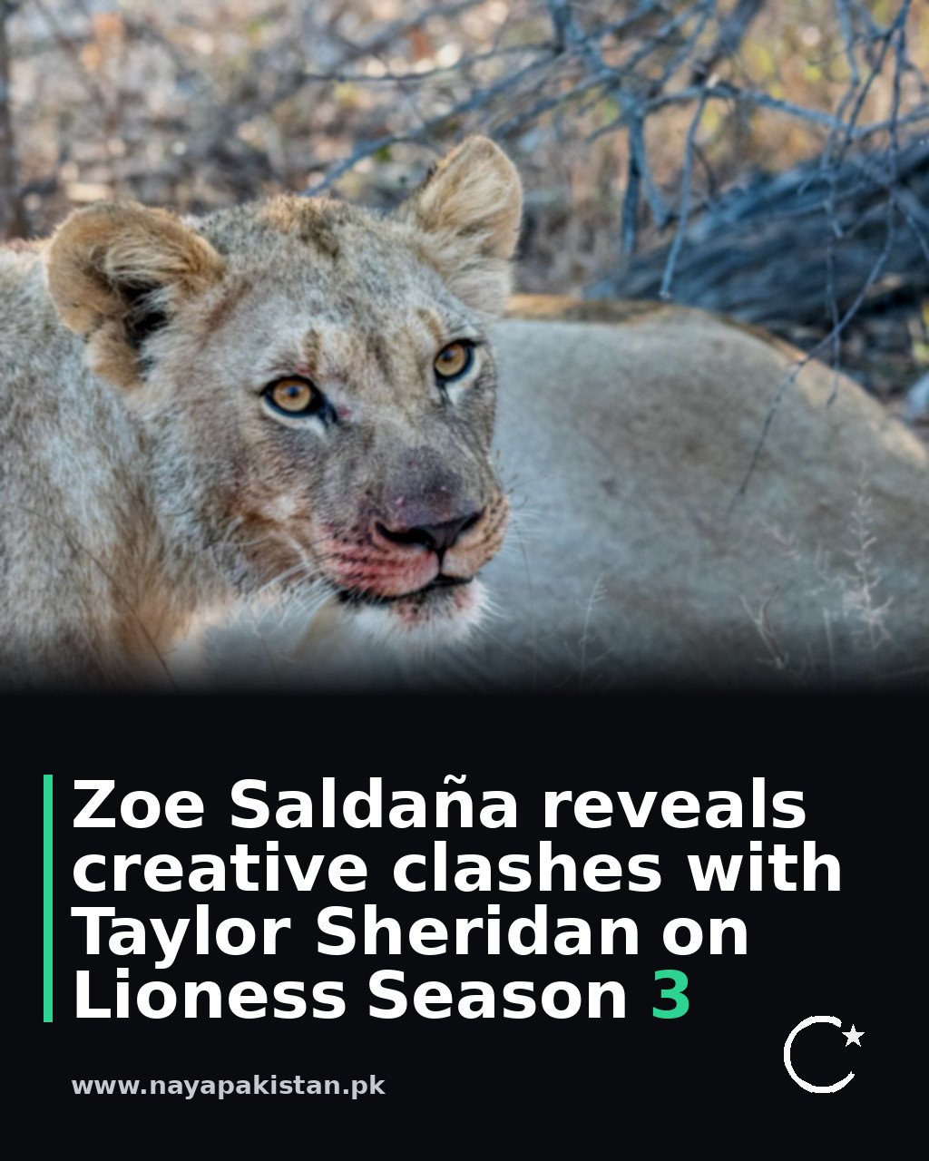 Zoe Saldaña reveals creative clashes with Taylor Sheridan on Lioness Season 3